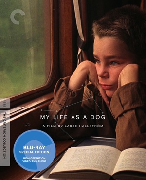 My Life as a Dog was released on Blu-Ray on Sept. 13, 2011.