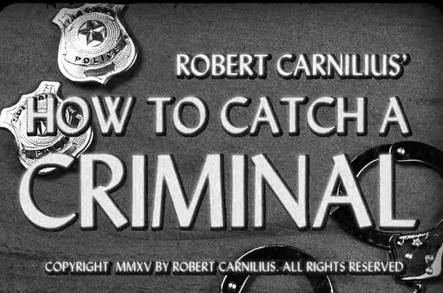 How to Catch a Criminal