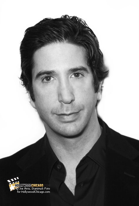 David Schwimmer at the Chicago Internatonal Film Festival, October 18th, 2010