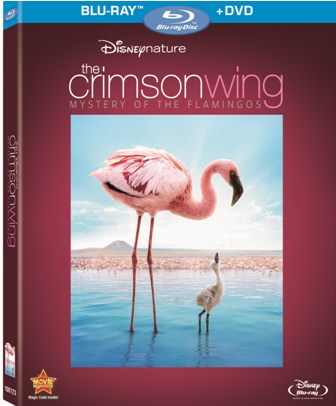 The Crimson Wing was released on Blu-ray and DVD on October 26th, 2010