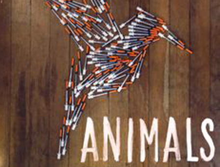 Animals