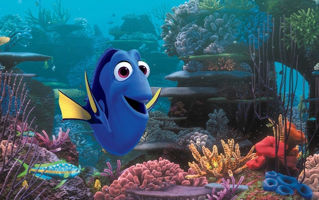 Dory