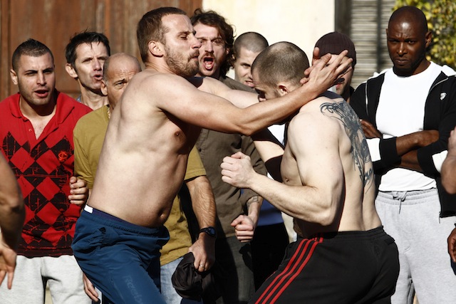 Matthias Schoenaerts stars in Jacques Audiard’s Rust and Bone.