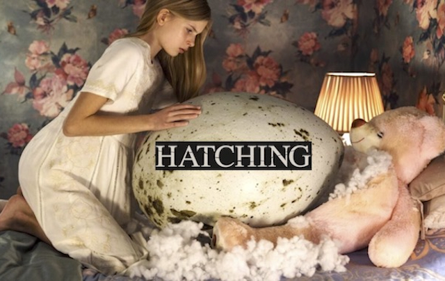 “Hatch"