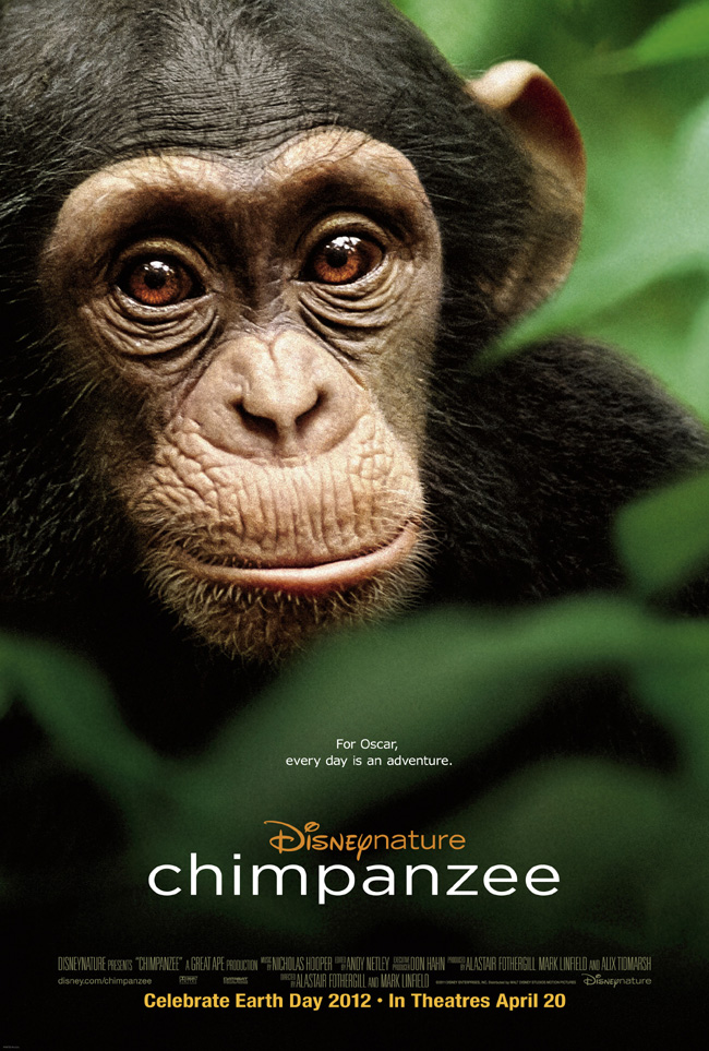 The movie poster for Chimpanzee, which is narrated by Tim Allen