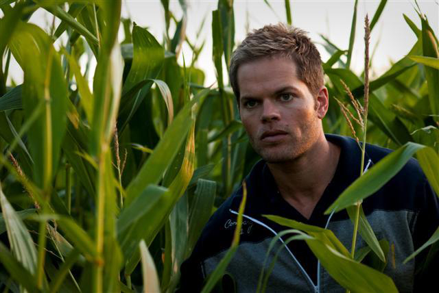 wes chatham