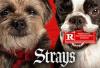 Strays