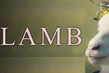 Lamb