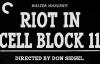 Riot in Cell Block 11