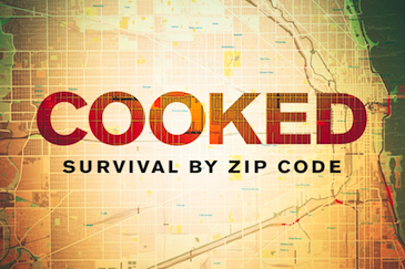 Cooked: Survival by Zip Code