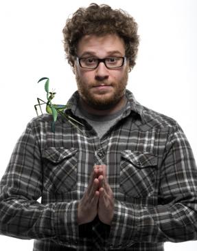 Seth Rogen, Kung Fu Panda (13) 