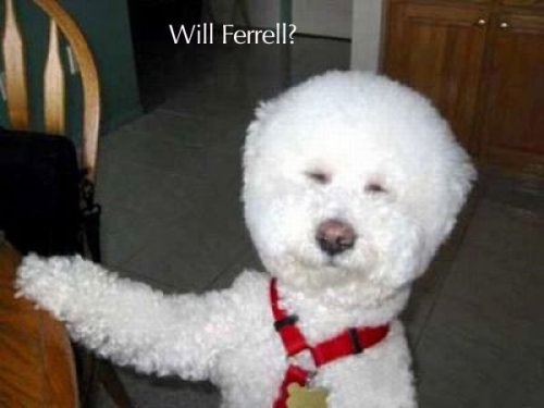 Will Ferrell as a dog